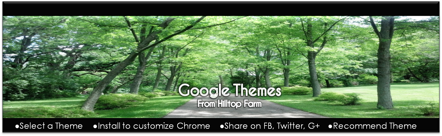 Welcome to iTreeware- Google Themes